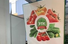 Уманский тепличный комбинат на 