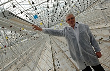 PHILLIPS in Ukraine presents innovative solutions to improve the greenhouse business