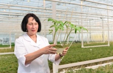 Antonina Gordiy: “GREENHOUSE BUSINESS IT IS A BUSINESS AT YOUR FINGERTIPS”.