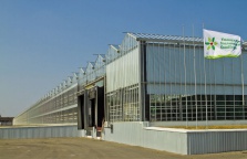 Uman Greenhouse Factory reoriented its exports to the EU markets