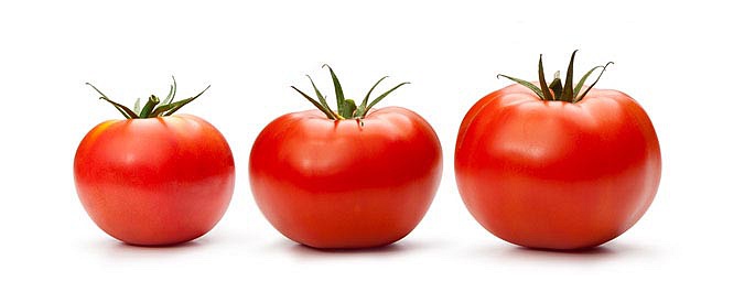 Red tomato