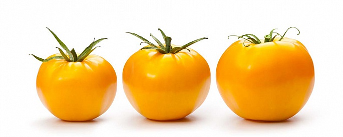 Yellow tomato