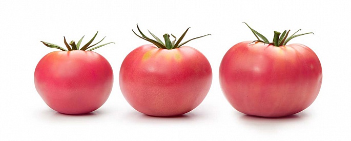 Pink tomato